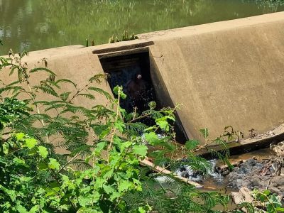 La_Pirogue_Quad_11